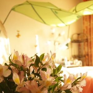 Meet your Posher, Elena